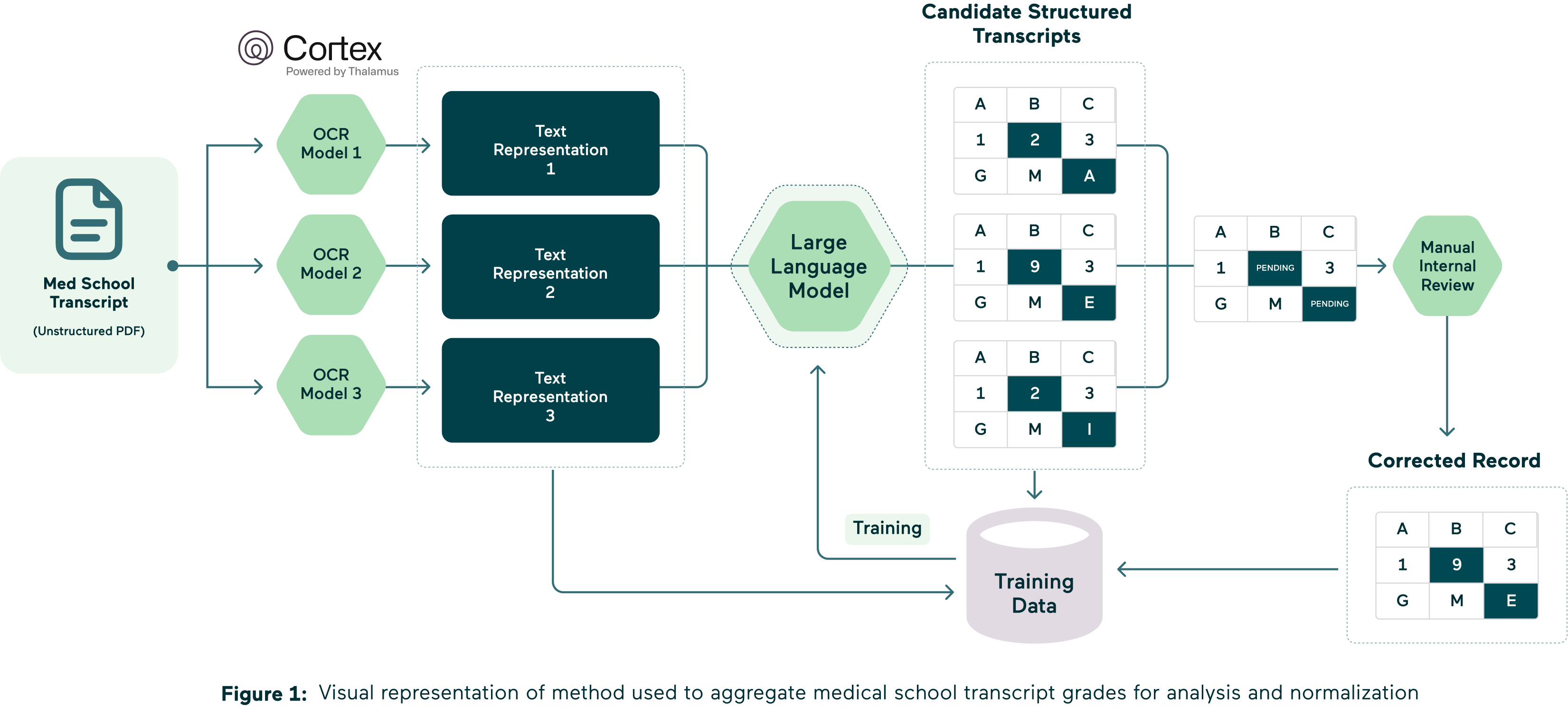 Figure 1: Visual representation of method used to aggregate medical school transcript grades for analysis and normalization